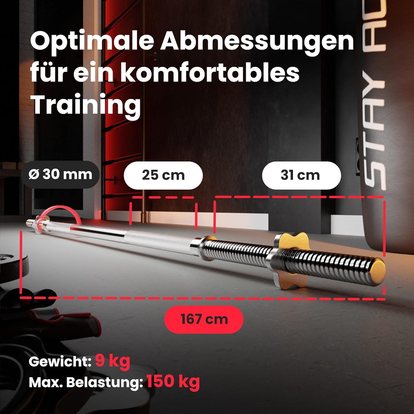 Hantelbank: Multifunktional mit Latzug, verstellbarer Schrägbank & Hantelset